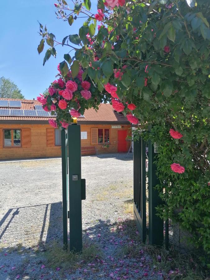 Agriturismo Bio Apipoli Lucino Eksteriør billede
