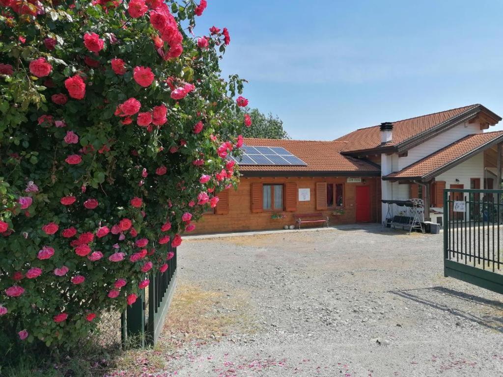 Agriturismo Bio Apipoli Lucino Eksteriør billede